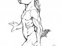 cs-deersketchJun11.jpg